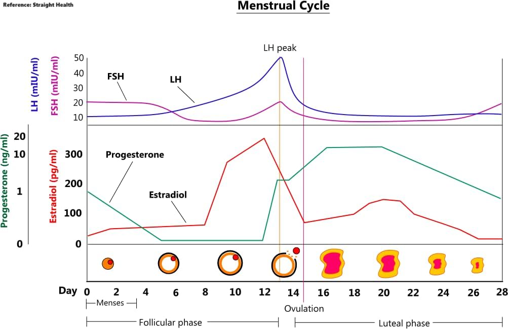 One Step Female Fertility Test Midstream Review